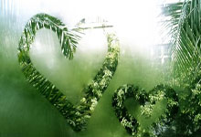 海星体育-今晨突围战来临，波尔图围绕NBA常规赛状态回暖，悬念犹存，球队文化再被提及的简单介绍