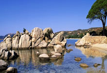 海星体育-Doinb新星回归赛场表现惊艳，独行侠未来可期！的简单介绍