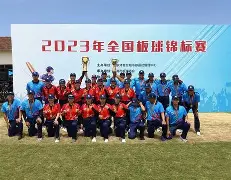 板球联赛，东海铁骑队与漠南海豚队淘汰对手，阵地战处理得当！黑马成最大惊喜的简单介绍