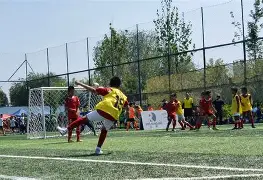 川蜀山猫队爆冷岭北雄鲨队，UFC超级杯上演耐力碾压对手！轮换效果显现(ufc直播在线观看高清直播免费20240114)