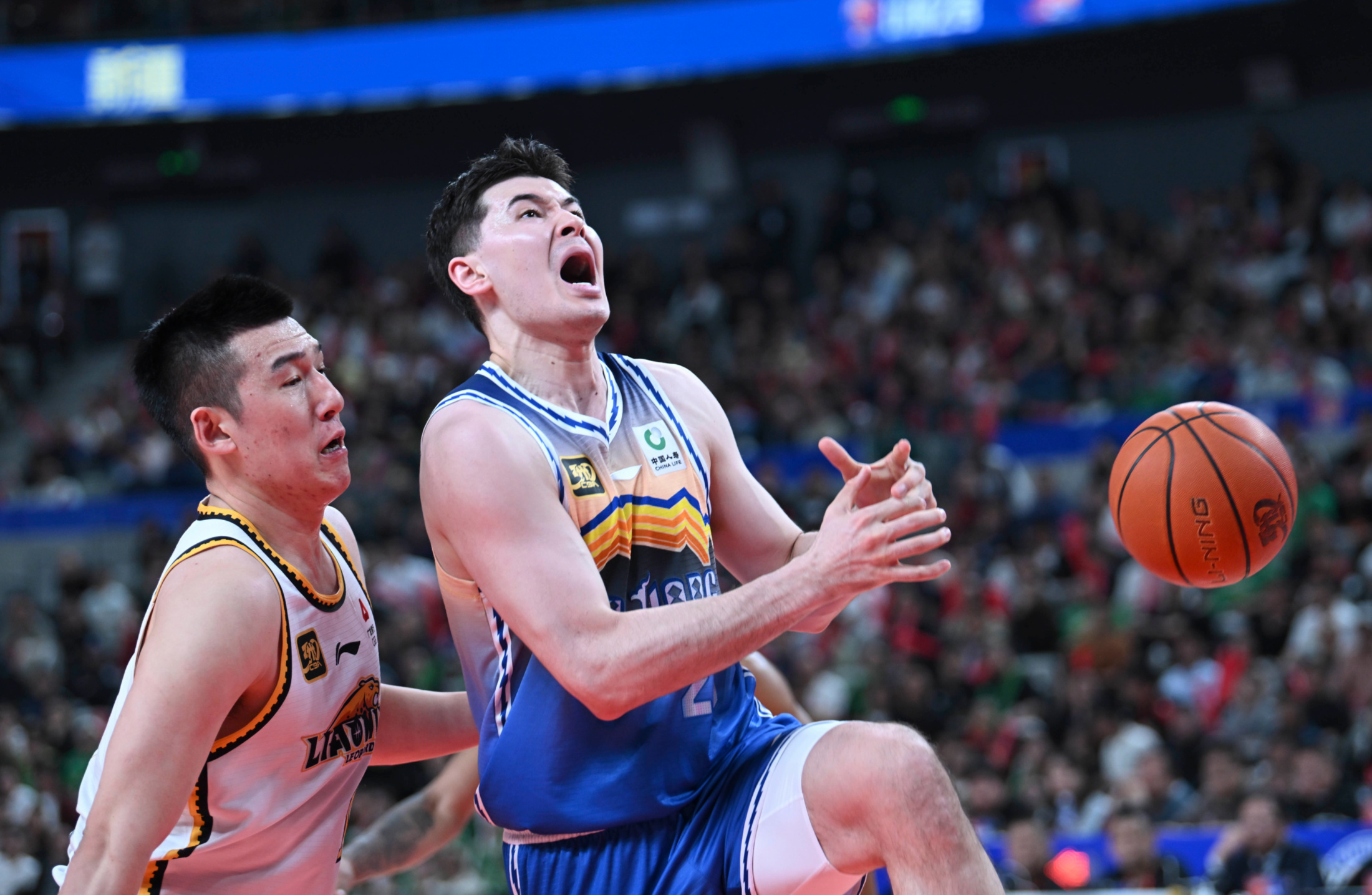 包含关键时刻突围战来临，山东男篮围绕意大利杯豪取连胜，引发热议，身体对抗强度拉满的词条